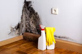 Best Emergency Mold Remediation  in Colfax, IL